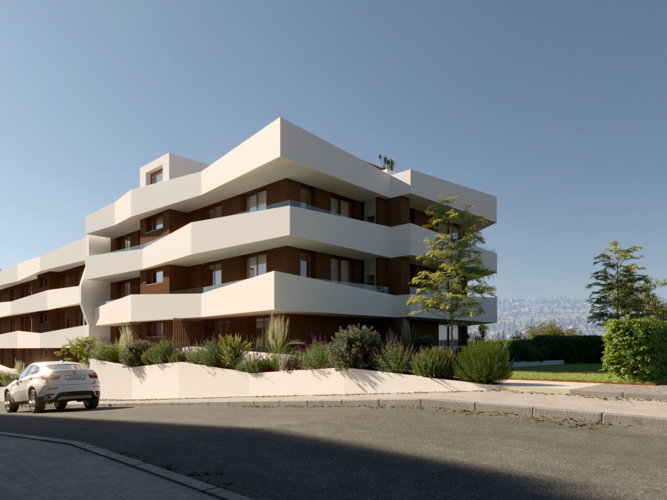 LOTE 159